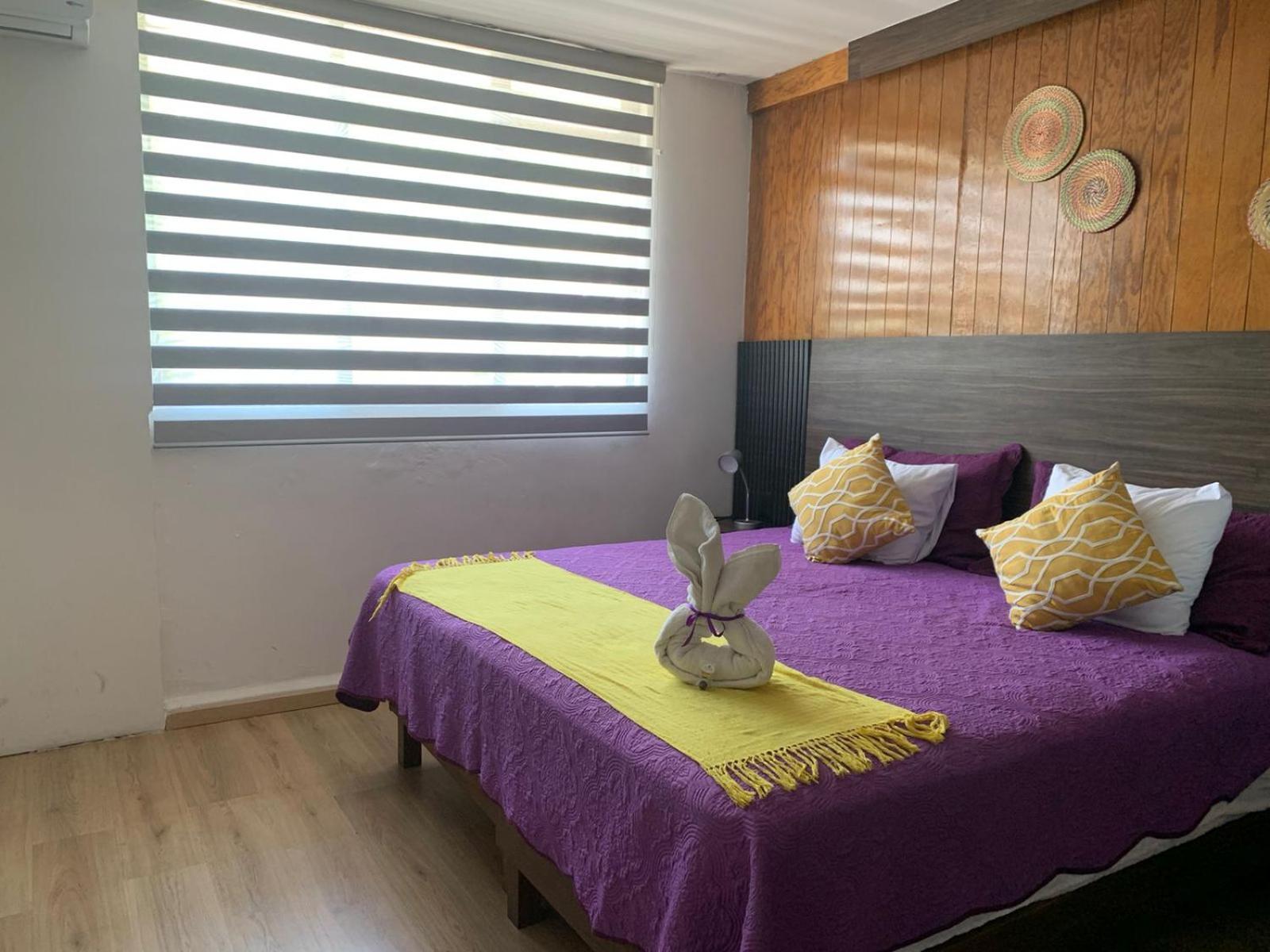 Oaxaca Pino Apartment מראה חיצוני תמונה