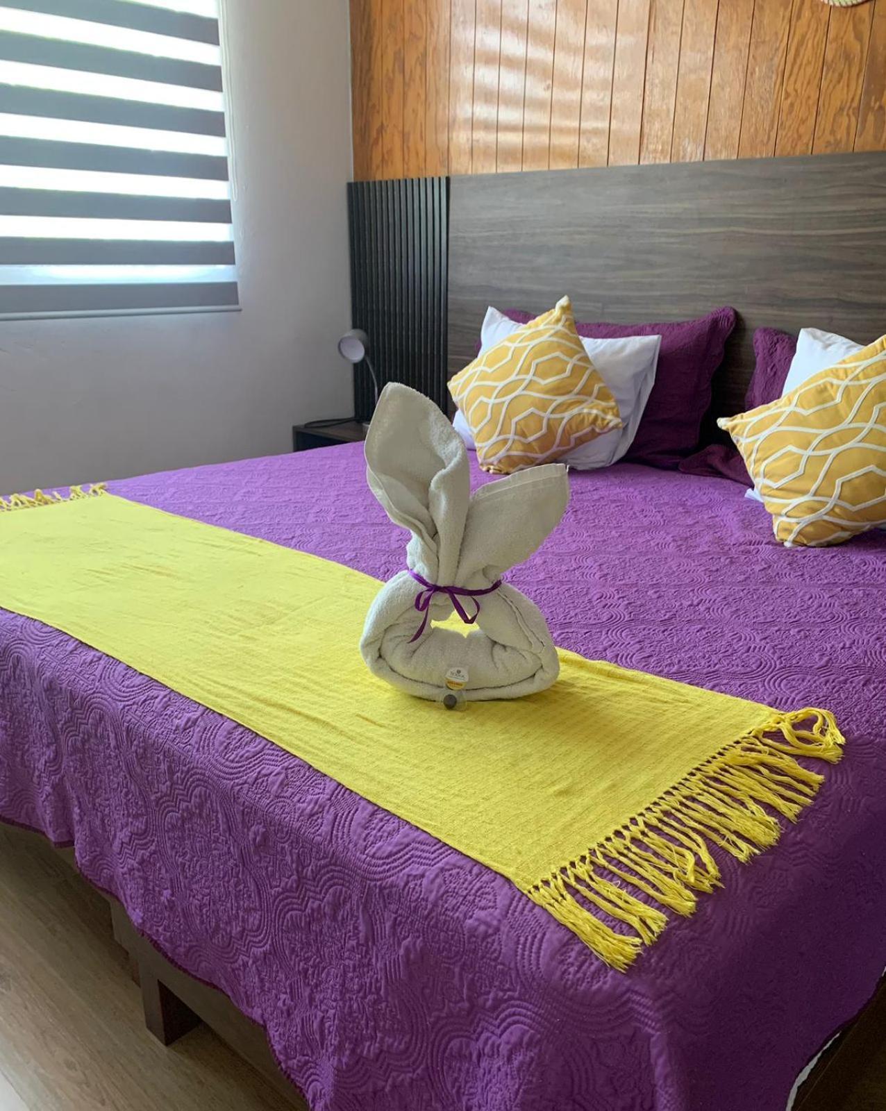 Oaxaca Pino Apartment מראה חיצוני תמונה